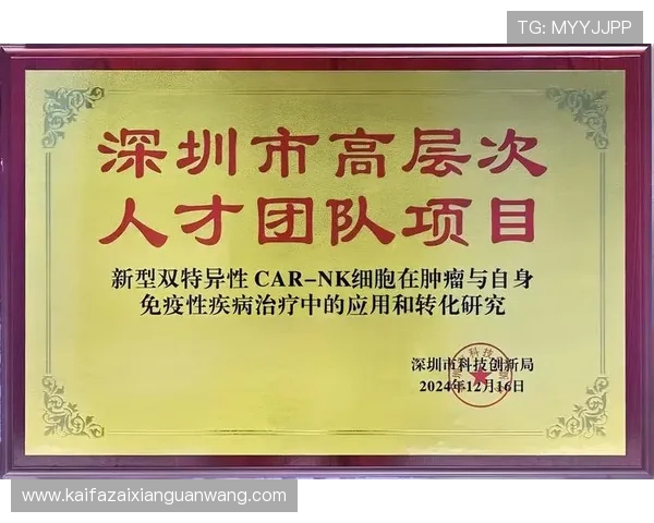掌握k8凯发赢家一触即发玩法的操作要点，轻松应对各种游戏场景挑战